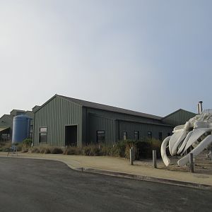 87-Foot Long Blue Whale Skeleton  + Aquarium Exterior