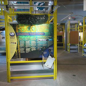 Assorted Exhibits (no animals in this section)