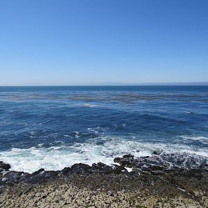 Pacific Ocean (right outside aquarium)