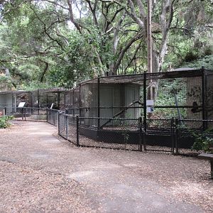 Raptor Aviaries