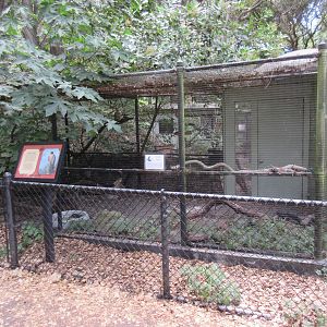 Peregrine Falcon/Prairie Falcon Exhibit