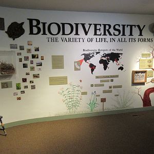 Biodiversity Wall Sign