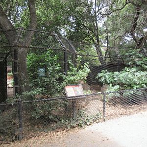 Coyote Exhibit