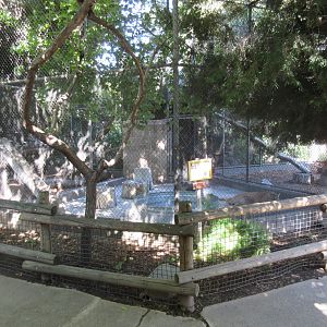 Cougar Exhibit (three small enclosures are combined into one)