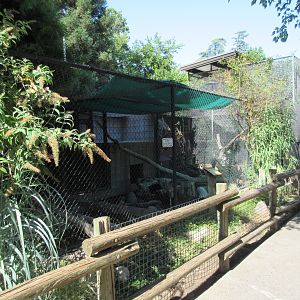 Coyote Exhibit