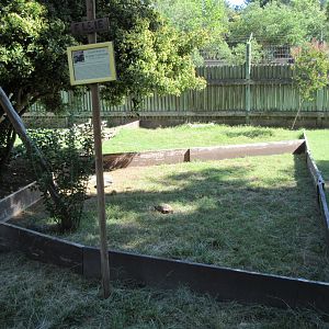 Desert Tortoise Exhibit