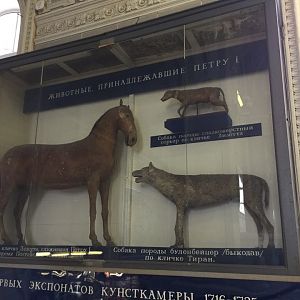 Peter the Great's pets