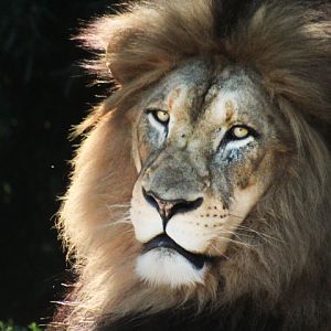 Jul. 2017 - Africa - John