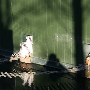 enjoying some winter sunshine