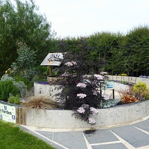 Sensory Garden, 21st June 2017
