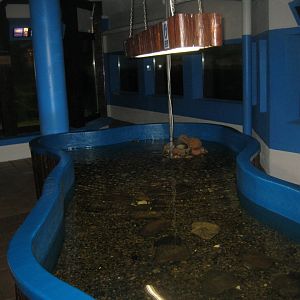 Fiskeriets Hus - Touch pool