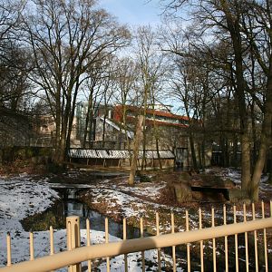Siberian tiger enclosure