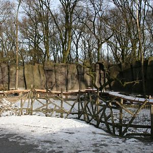 New Red panda enclosure under construction