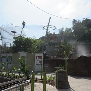 Africa Rocks - Ring-Tailed Lemur Exhibit + West African Dwarf Crocodile Exhibit