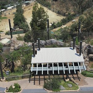 Skyfari Ride - Cougar Exhibit