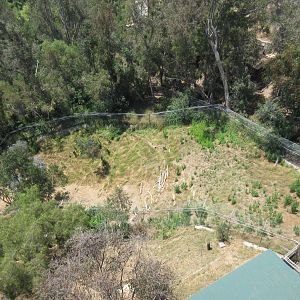 Skyfari Ride - Off-Show Exhibit