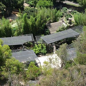 Skyfari Ride - Asian Leopards + Ituri Forest