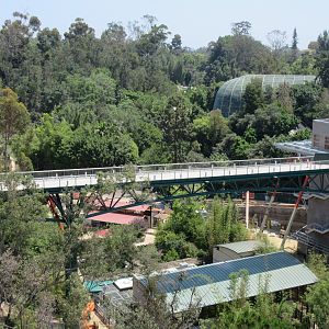 Skyfari Ride - Africa Rocks