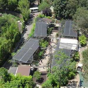 Skyfari Ride - Asian Leopards