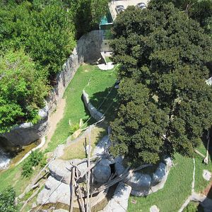 Skyfari Ride - Lowland Gorilla Exhibit
