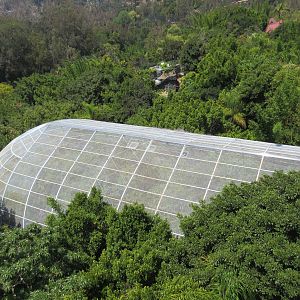 Skyfari Ride - Scripps Aviary