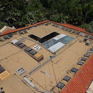 Skyfari Ride - 1930's-era Reptile House Roof