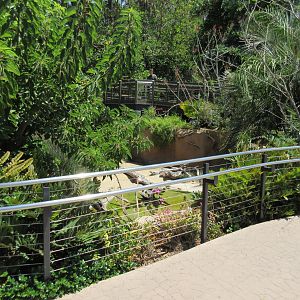 Chinese Alligator Exhibit