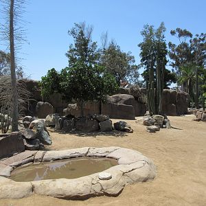 Galapagos Tortoise Exhibit