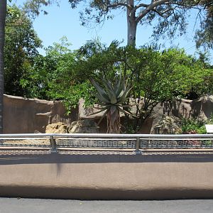Leopard Tortoise Exhibit