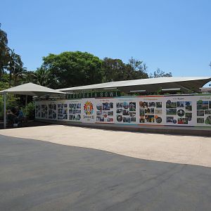 San Diego Zoo History Wall