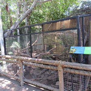 Fossa Exhibit