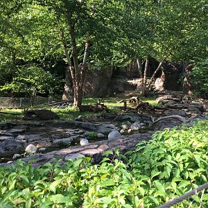 Small clawed otter exhibit