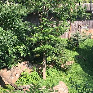 One of the four giant panda habitats