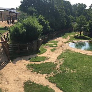 Elephant trails overlook
