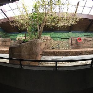 Indian Rhino Pavilion Indoor Viewing