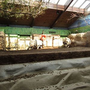 Indian Rhino Pavilion Ashakiran & Nandu