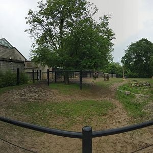 Indian Rhino Outdoor Exhibit View 1