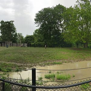 Indian Rhino Outdoor Exhibit View 3