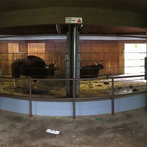 Gaur Pavilion Indoor Viewing 1