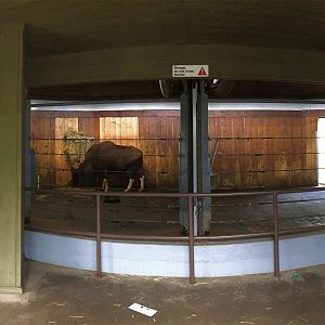 Gaur Pavilion Indoor Viewing 2