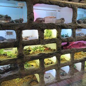 Wall of Terrariums