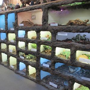 Wall of Terrariums