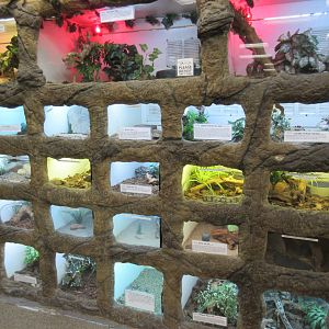 Wall of Terrariums