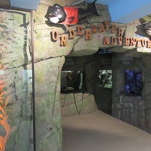 Underwater Adventure (5 tanks)
