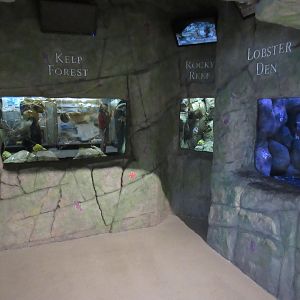 Underwater Adventure (5 tanks set in a cave)