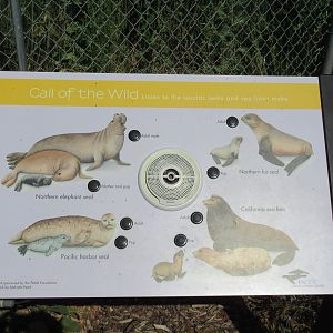 Pinniped Sign