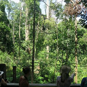 View to sun bear playground