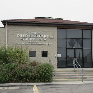Oiled Bird Care + Education Center (closed to the public) - San Pedro Facility