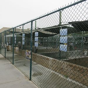 Pinniped Pools - San Pedro Facility