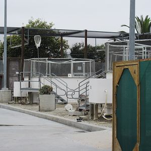 Oiled Bird Care + Education Center (closed to the public) - San Pedro Facility